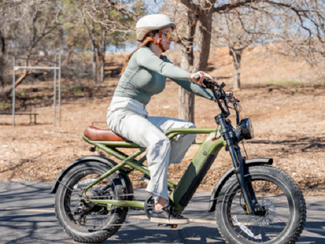 5 Best Moped Style Ebike Models Deliver Awesome Dual Passenger Seating