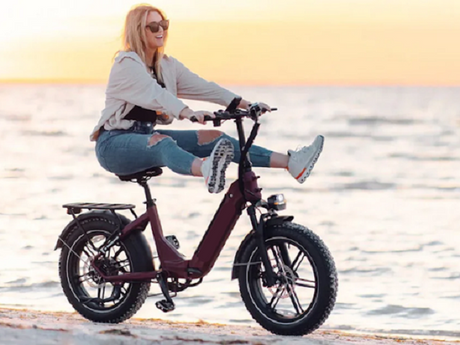 5 Flash Affordable Electric Bike Promotions Drop Household Price Tags
