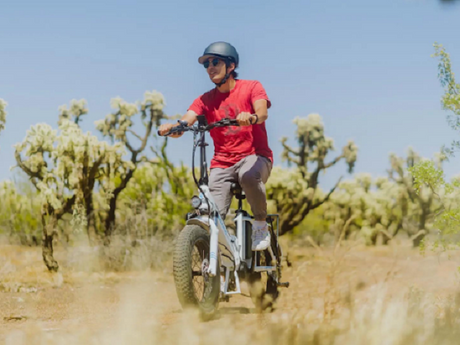 6 Affordable City Best Foldable Ebike Options Disrupt Market Pricing