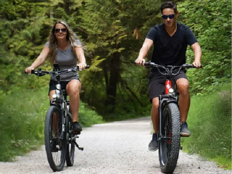 Ebike For Sale Guide: Uncover Quality Models Across Every Category
