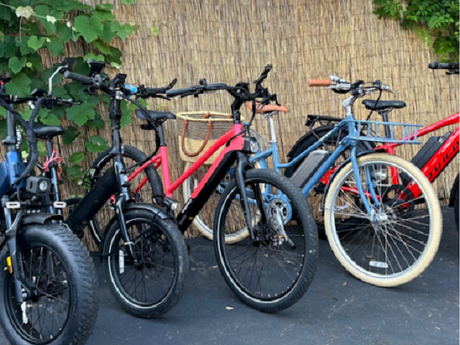 Invest Smartly By Sticking To The Best Ebike Brands