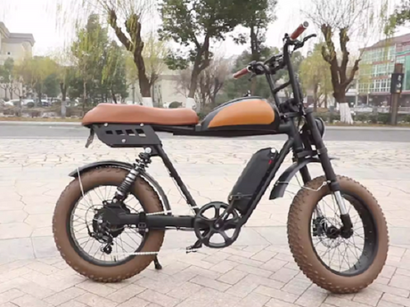 Is a Moped Electric Bike Legal for Your Specific City Paths?