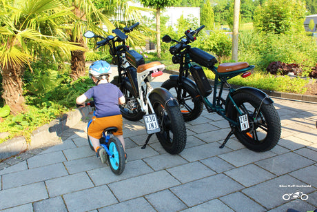 Thanksgiving E-Bike Picks for Your Loved Ones