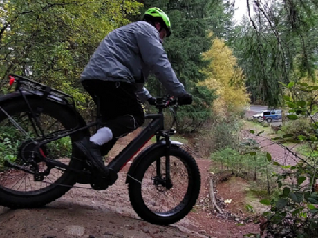 Top 5 Fat Tire Best Budget Ebike Options Conquer Slippery Winter Snow Paths