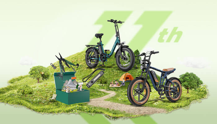 engwe-11th-year-