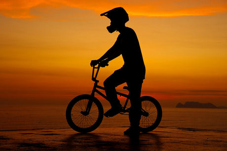 a person holding a bike at the sunset