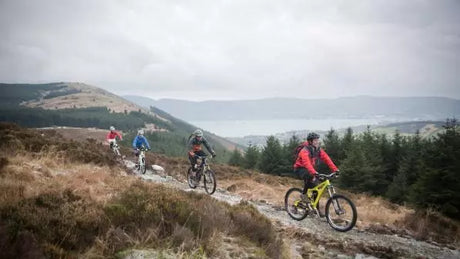 Electric Bike Buying Guide and Top Models Reviewed