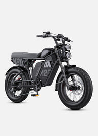 ENGWE M20 3.0 Electric Bike