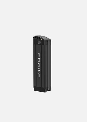 Engwe L20 Battery