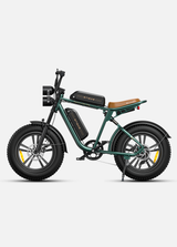 a green engwe m20 fat tire electric bike