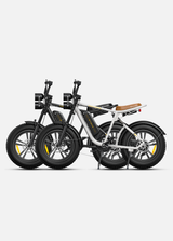 engwe m20 combo: 1 black and 1 white engwe m20 e-bikes