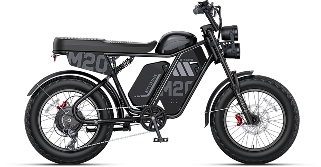 Prize-M20 3.0 ×1